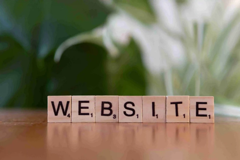 website-development-services