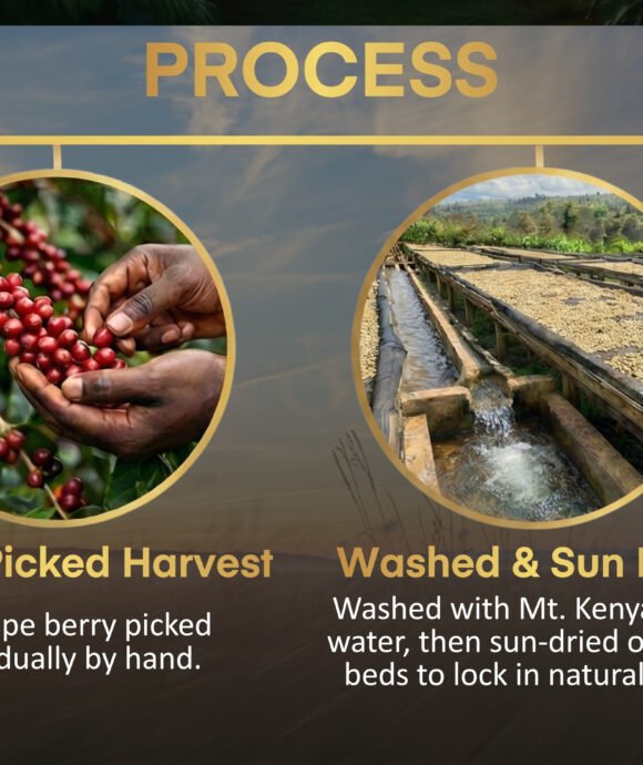 Njiru Coffee Brand 6 4 1