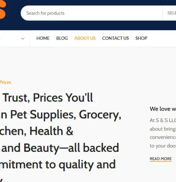 S & S Website Development 8 About Us