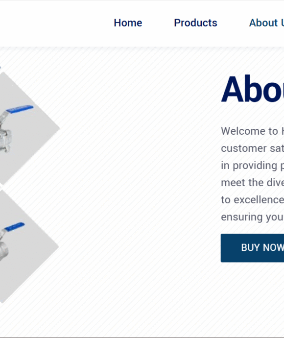 Kausar Corporation Web Development 8 About Us