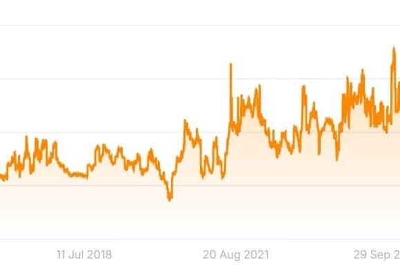 More Organic Traffic 102%